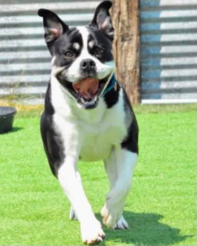 ECHO is at the Espanola Shelter