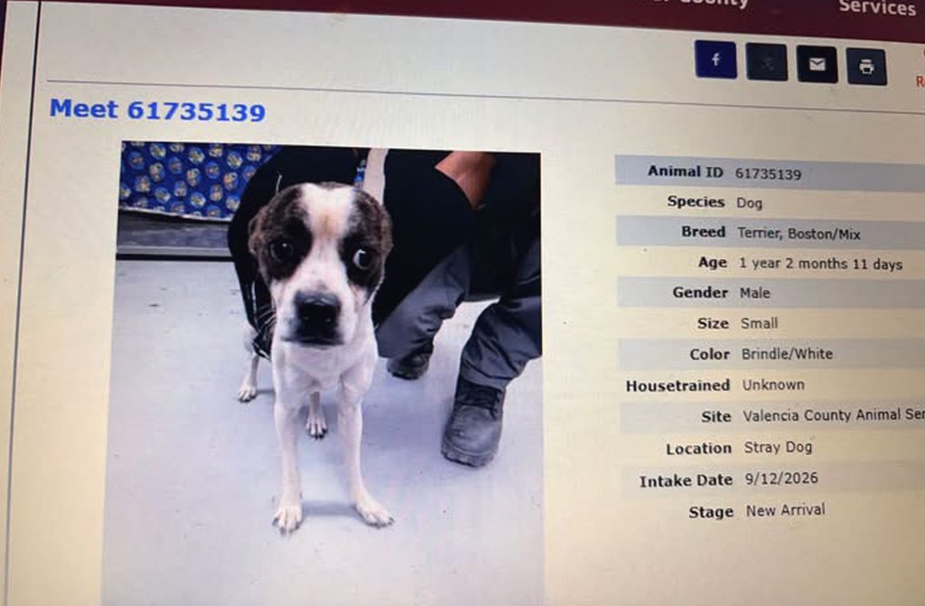 Valencia County shelter